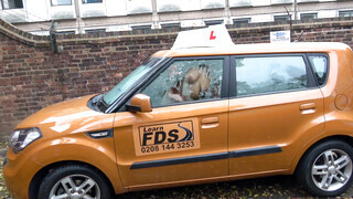 Fake Driving School - Louise Lee imádja a méretes falloszt