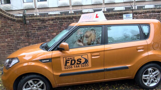 Fake Driving School a percerz viszgabiztos elcsábítja a pasast