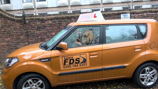 Fake Driving School szőrös pinájú szuka a hátsó ülésen